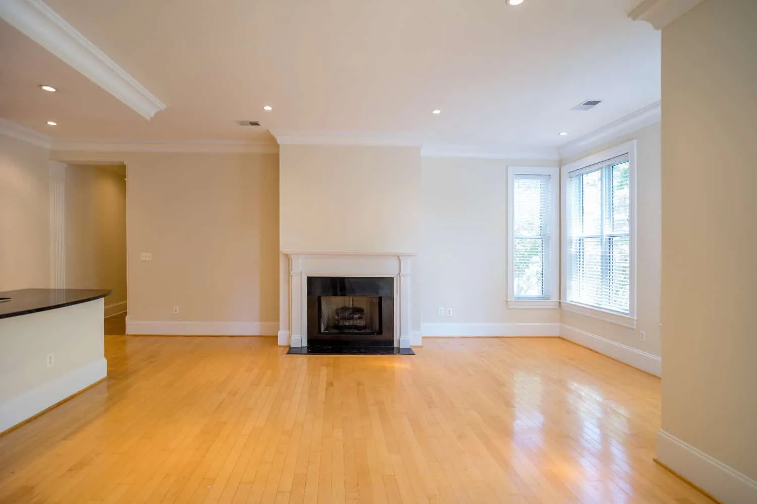 The Regent Living Room View