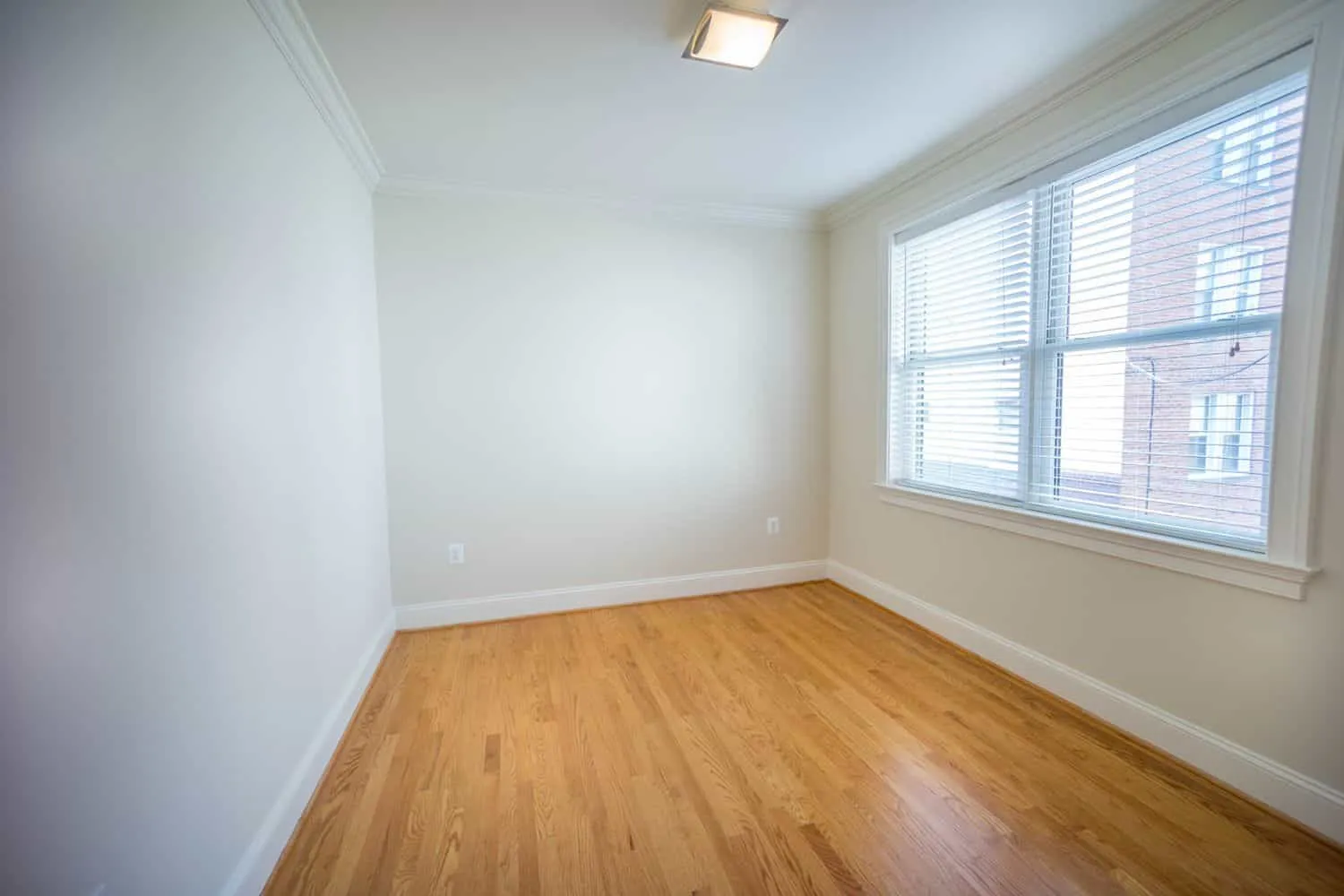 The Asher — interior photograph